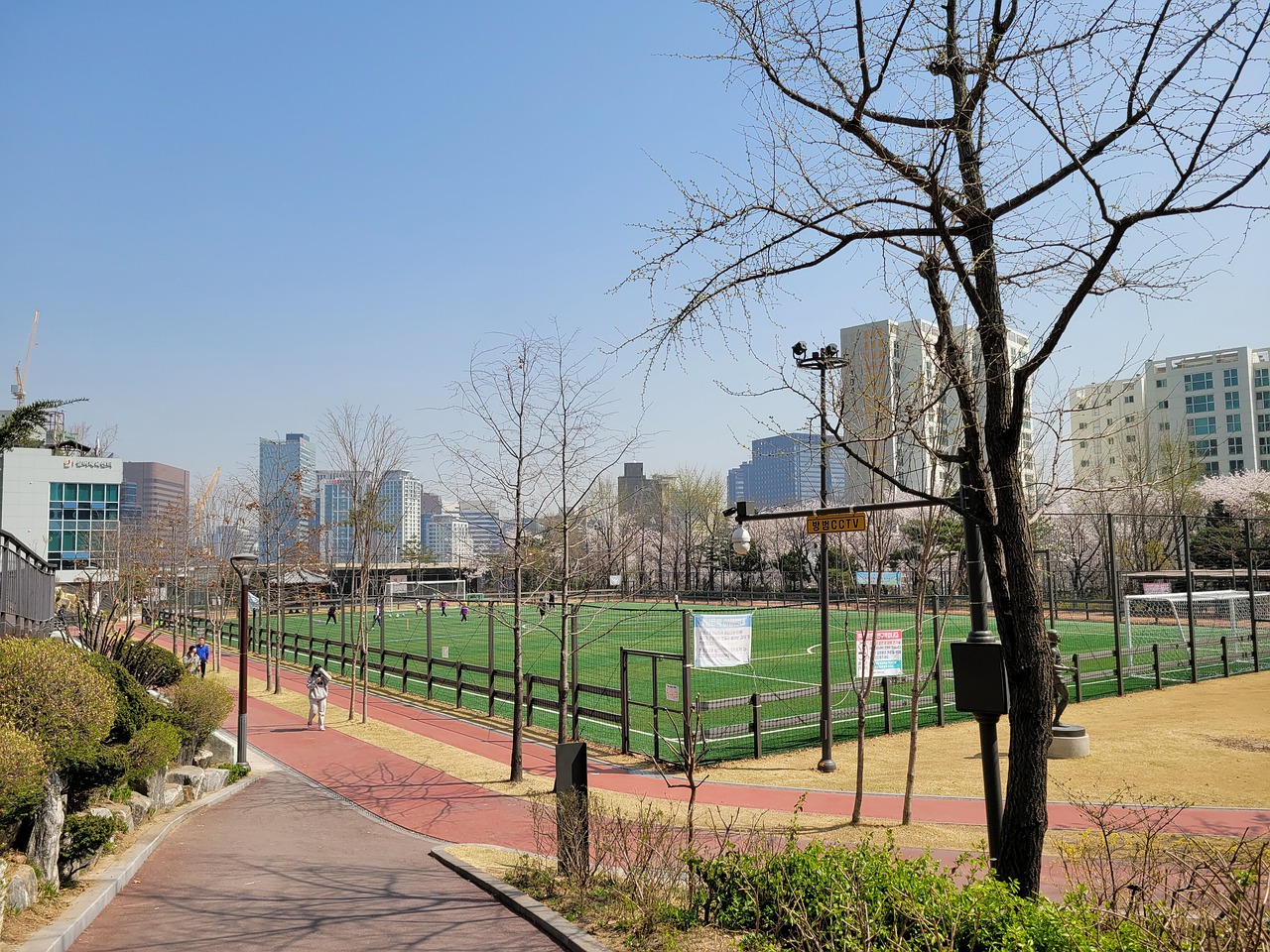 展示了科比
